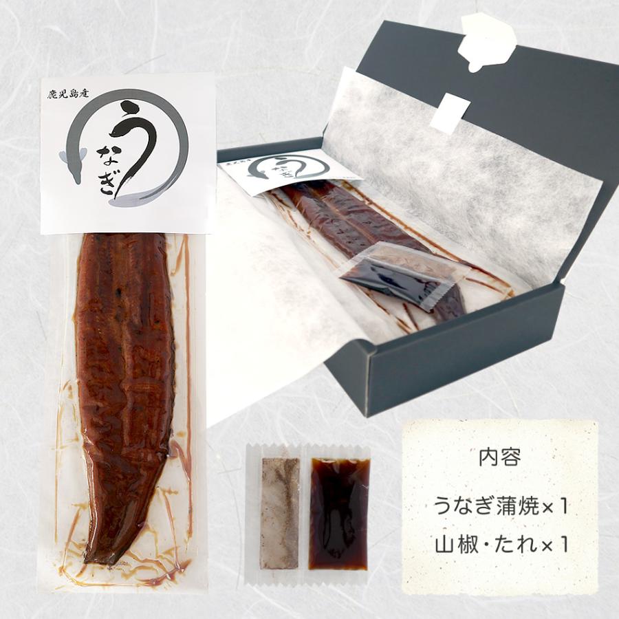 国産100% 鹿児島県産 特大うなぎ蒲焼 約180g×3袋セット たれ 山椒付き_3