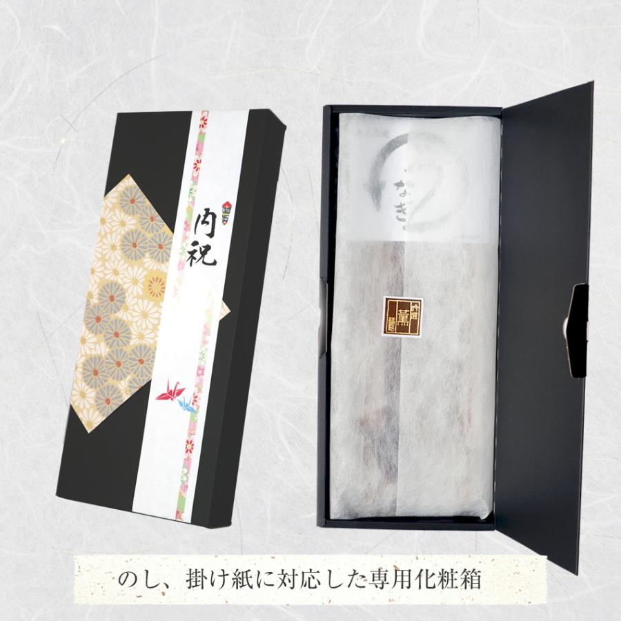 国産100% 鹿児島県産 特大うなぎ蒲焼 約180g×3袋セット たれ 山椒付き_9