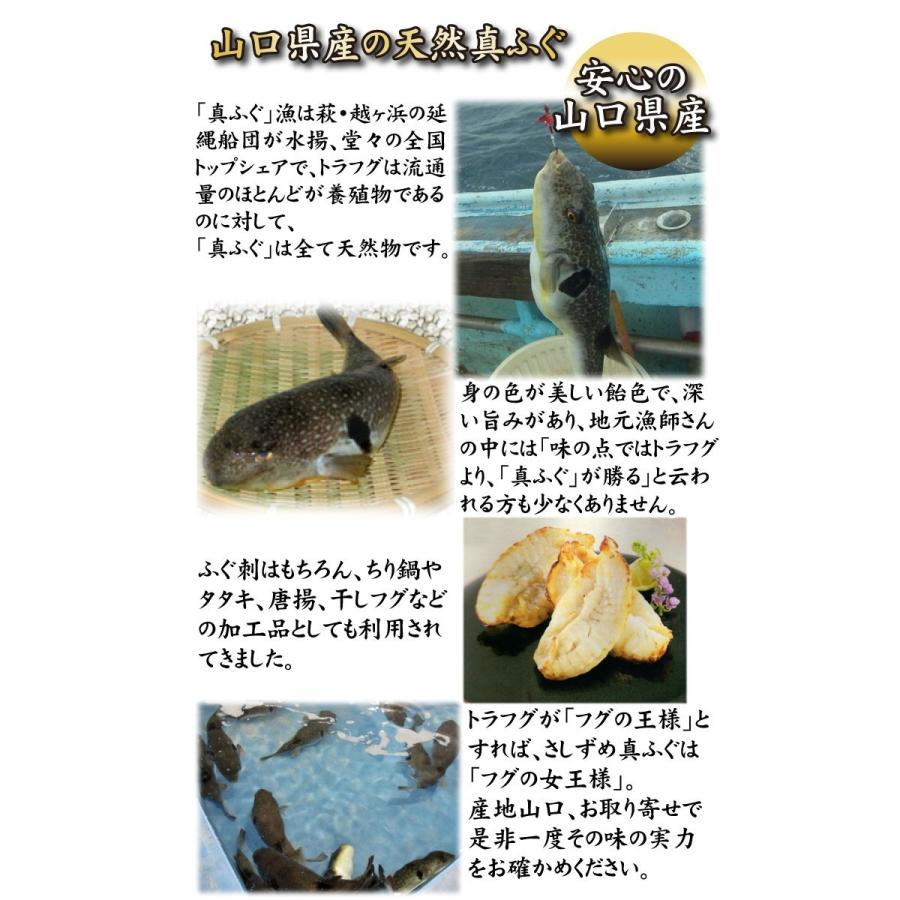 本場下関の味！贅沢ふぐ三昧】天然真ふぐたたき刺身・ふぐ鍋