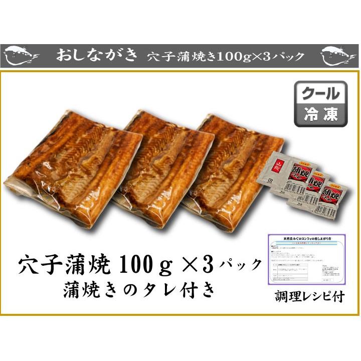 あなご アナゴ 穴子 母の日 父の日 お中元 敬老の日 2021 下関産 あなごの蒲焼100g×3パック タレ付 小分けでお買い得｜yamanishisuisan｜02