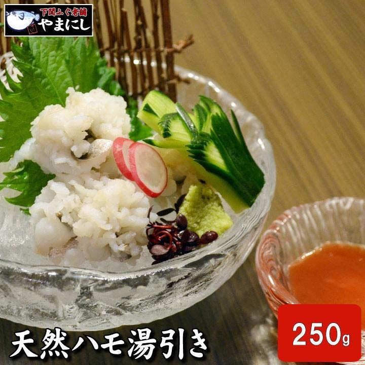 はも ハモ 鱧 母の日 父の日 お中元 敬老の日 2021 天然活けハモ湯引き2-3人前（15切・250ｇ・梅肉付き）山口県産　 : 下関 ふぐ老舗問屋 山西水産 - 通販 - Yahoo!ショッピング