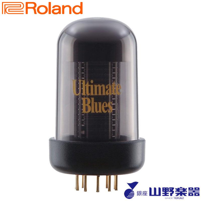 Roland Blues Cube Ultimate Blues Tone Capsule BCTC-UB : 24343 