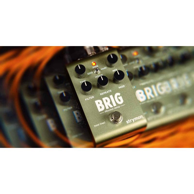 strymon dBucket ディレイ BRIG : 山野楽器 楽器専門Yahoo