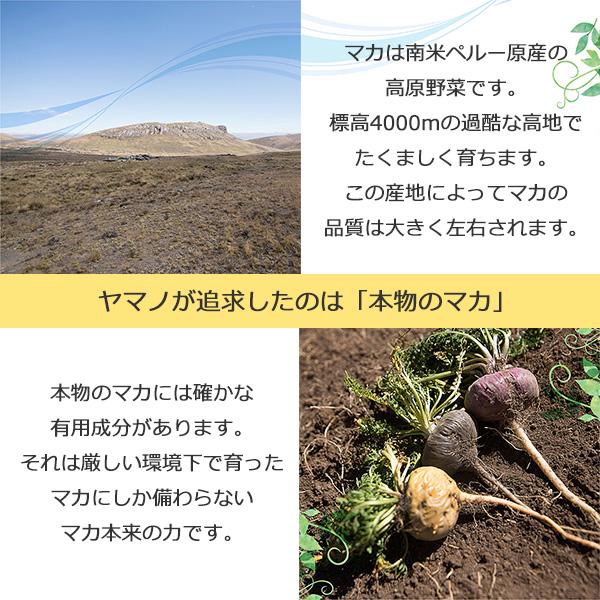 マカ 妊活 サプリ 無添加＆マカ100% 純粋 junsui ヤマノ 3袋セット