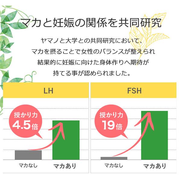 【新品】ヤマノ 無添加&amp;オーガニック マカ 純粋 4袋セット おまけ付き マカ 妊活 サプリ 無添加＆マカ100% 純粋 junsui ヤマノ 3袋セット