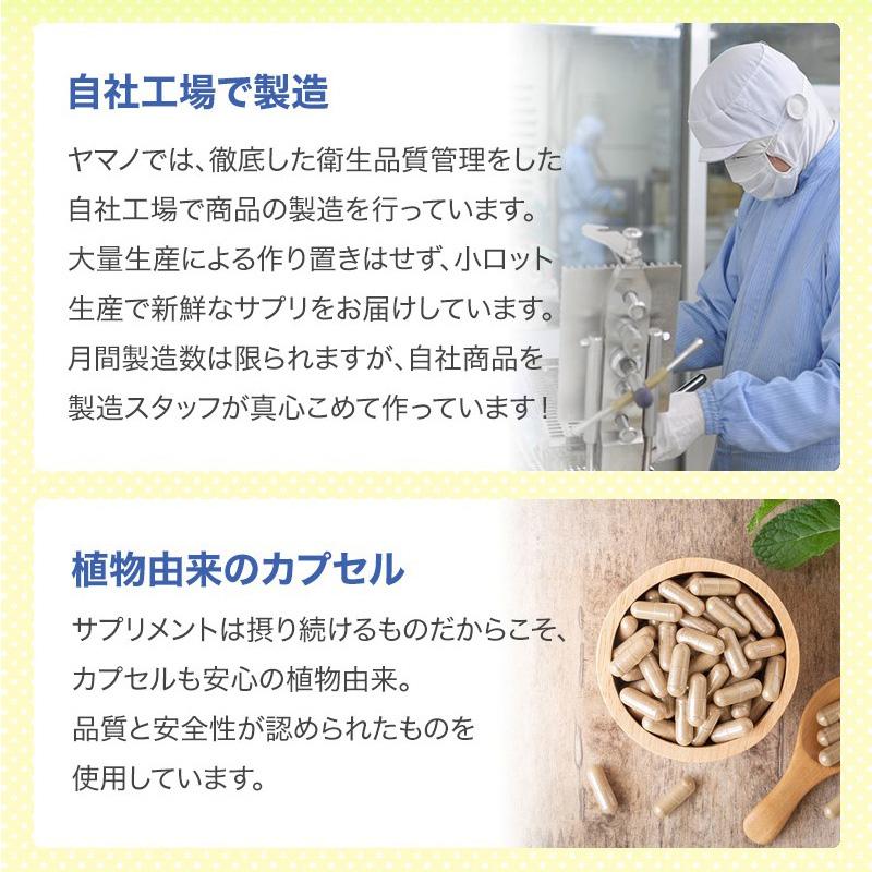 妊活 サプリ 葉酸 マカ sazuca(さずか)＋黒マカ 亜鉛 minagi(みなぎ