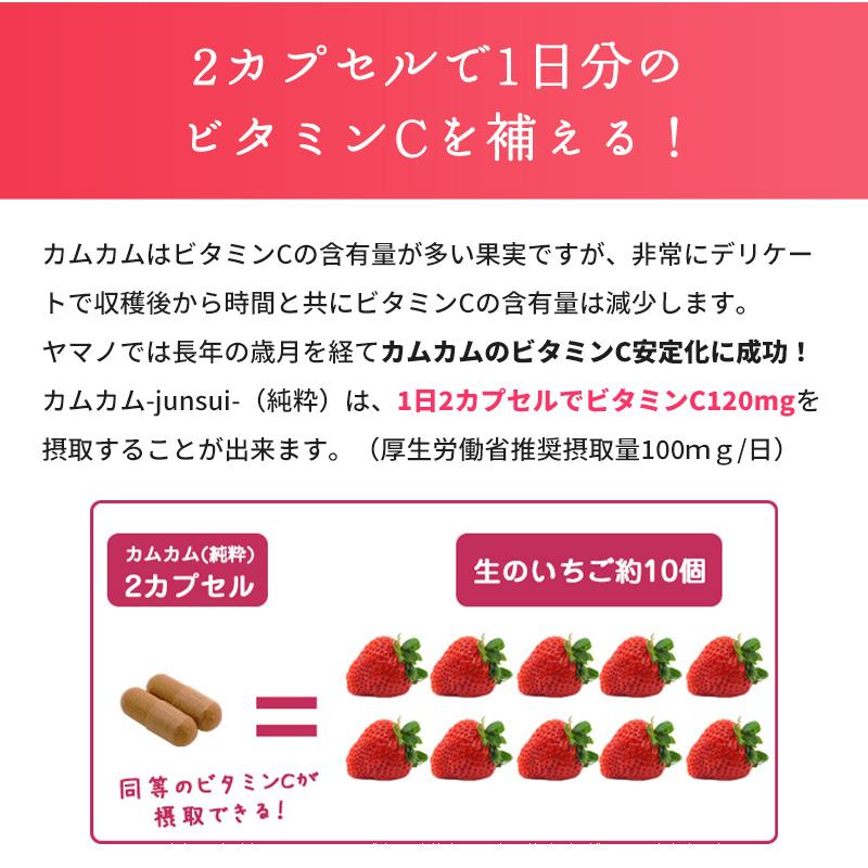 7月下旬発送予定】カムカム サプリ 天然 ビタミンC サプリメント 