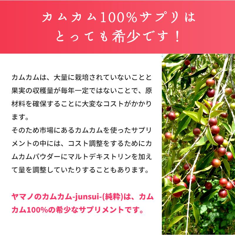 7月下旬発送予定】カムカム サプリ 天然 ビタミンC サプリメント 
