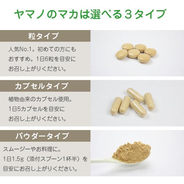 ナカヤマページ★サプリメント NOW Foods（ナウフーズ） ヤマブシタケ 500mg 60粒 ベジカプセル NOW