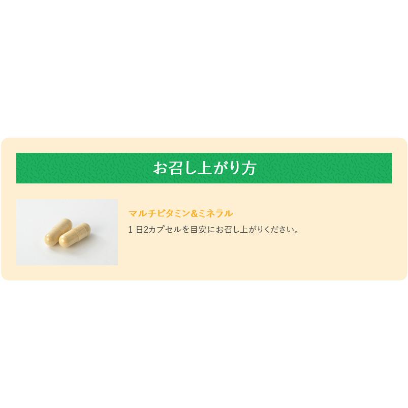 ヤマノ 天然由来 マルチビタミン＆ミネラル 約1ヶ月分 100％オール