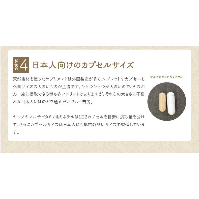 ヤマノ 天然由来 マルチビタミン＆ミネラル 約1ヶ月分 100％オール