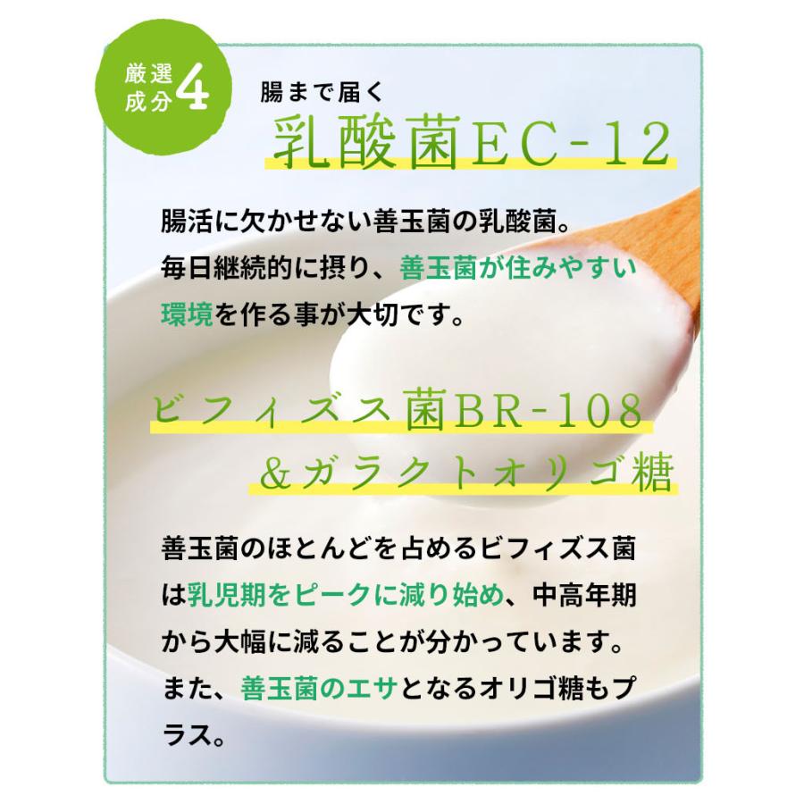 ヤマノ めぐりさらさら サプリ 約1ヶ月分 温活 腸活 冷え性 血流