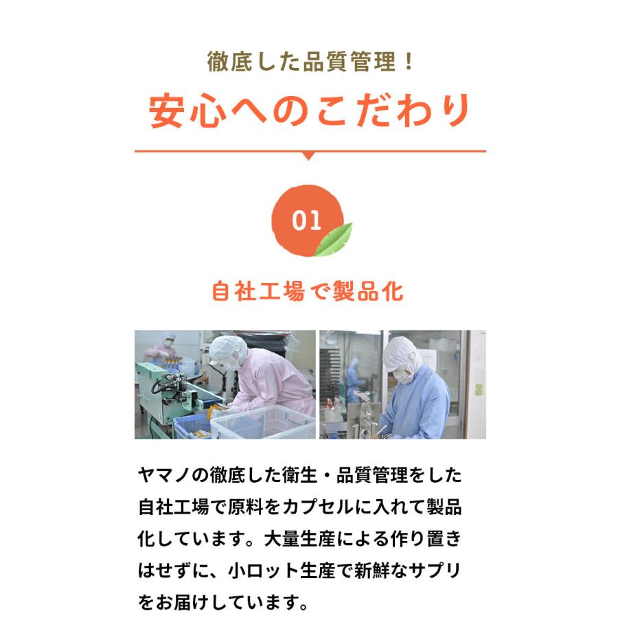 ヤマノ めぐりさらさら サプリ 約1ヶ月分 温活 腸活 冷え性 血流