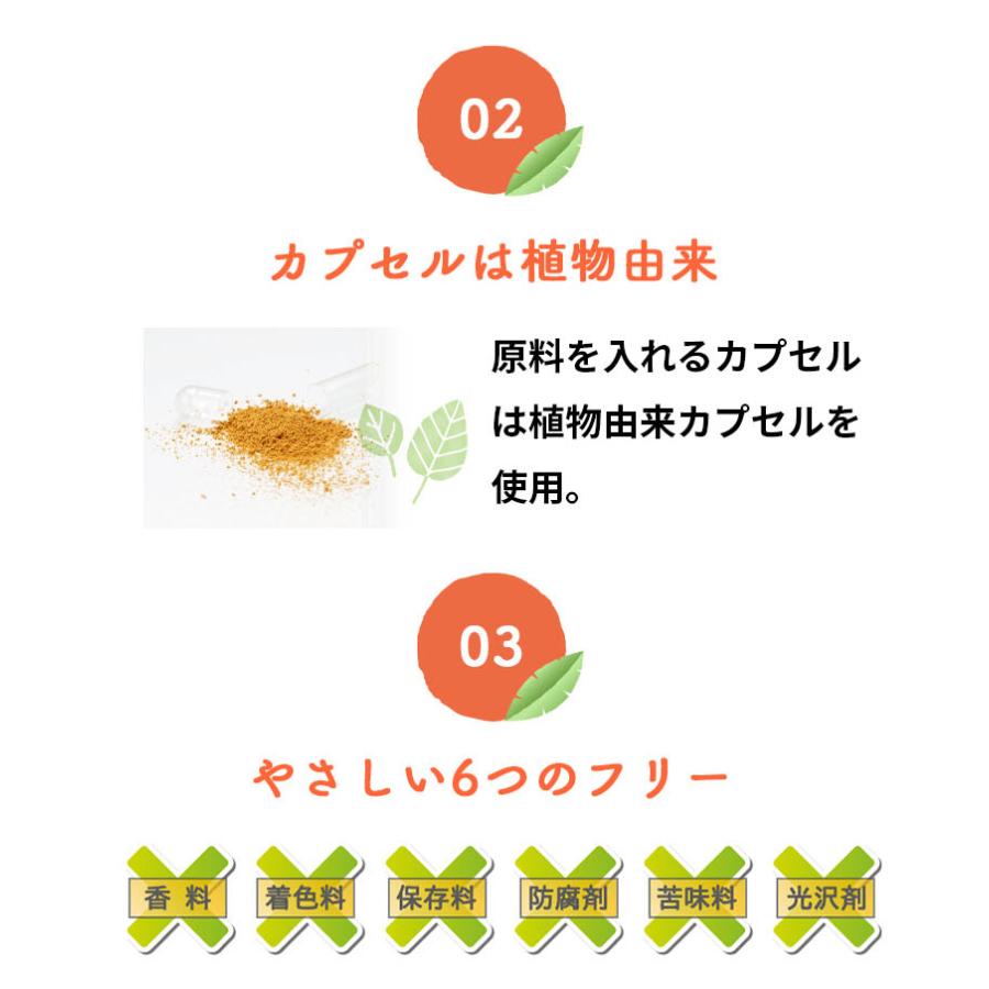 ヤマノ めぐりさらさら サプリ 約1ヶ月分 温活 腸活 冷え性 血流