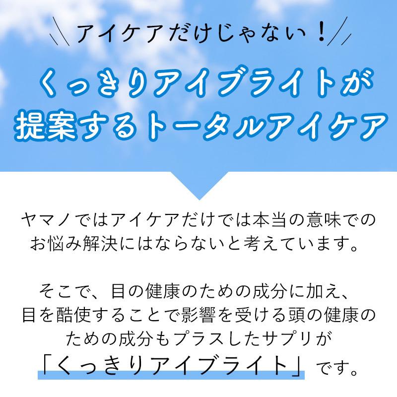 ヤマノ くっきりアイブライト 60カプセル入り 3袋セット 約3ヶ月分 ビルベリー・ルテイン配合｜yamano2｜05