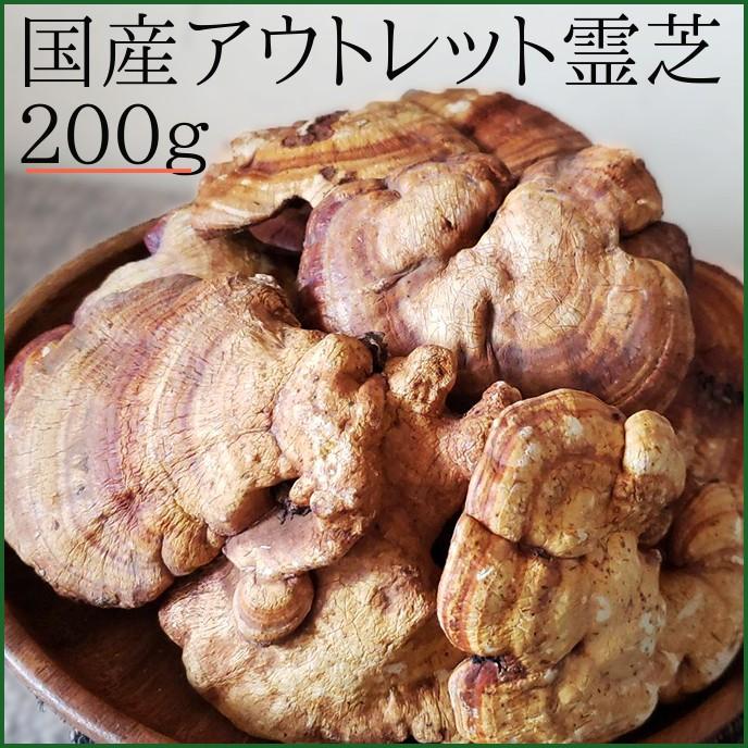 国産 訳あり アウトレット霊芝 0g 徳島県産 万年茸 幸茸 門出茸とも呼ばれます Reishi やまのこ農園 通販 Yahoo ショッピング