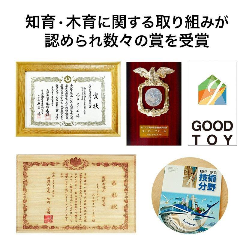 【木のおもちゃ おふろでちゃぷちゃぷ】お風呂 おもちゃ 型はめ パズル 海 動物 赤ちゃん 知育玩具 木製玩具 0歳 1歳 2歳 3歳 日本製 安全 ヒノキ プレゼントの画像