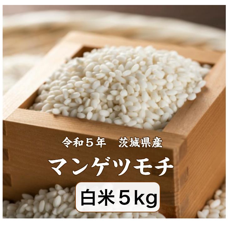 令和5年産 茨城県産もち米5キロ - 米