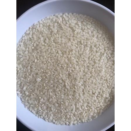 ミルキークイーン 米 5kg 無洗米「7年産茨城ミルキークイーン一等 無