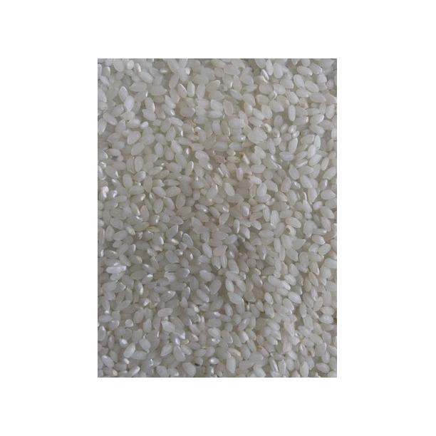 ミルキークイーン 米 10kg 「7年産 茨城ミルキークイーン無洗米10kg