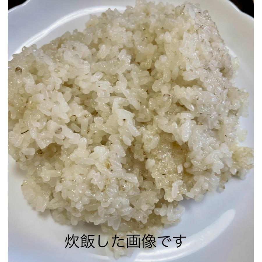 もち米 5kg「7年産 もち米規格外 白米5kg」数量限定 訳あり 送料無料