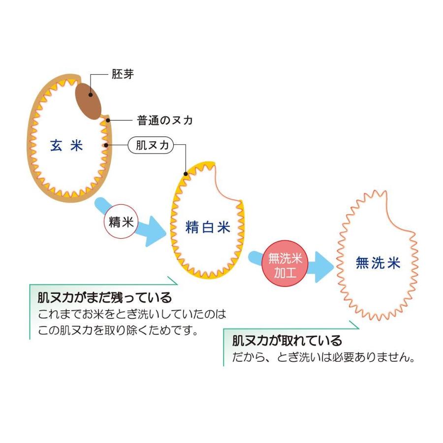 米 10kg 無洗米「５年産 茨城 あきたこまち 一等米 無洗米 10kg」送料無料 二重包装｜yamanorice｜03