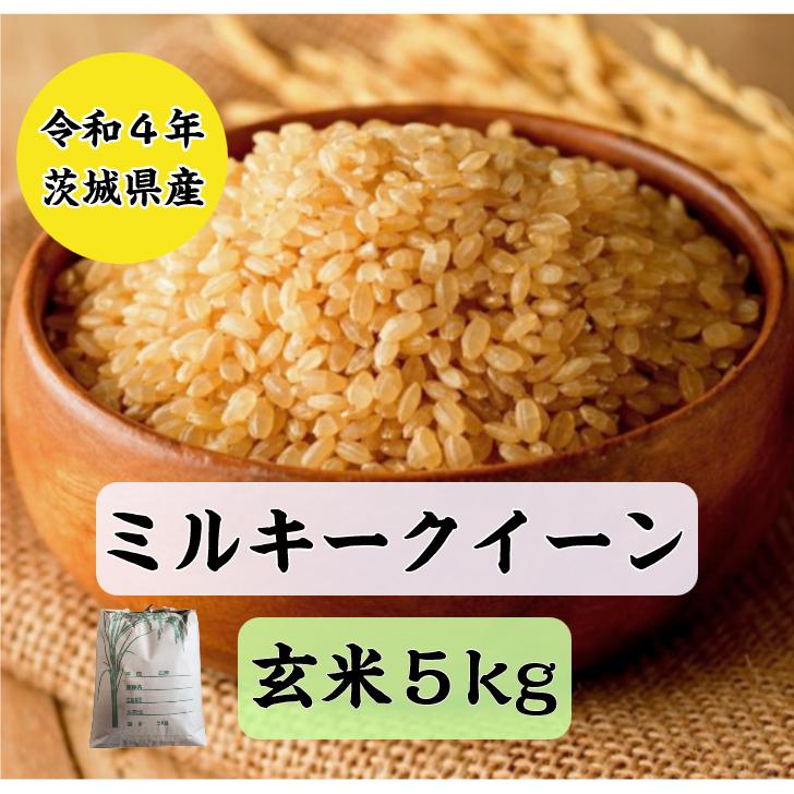 令和4年産 新米 会津産 20㎏ おこ ミルキークイーン 玄米 お米
