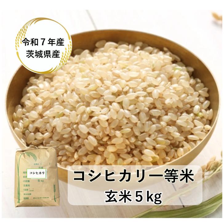 今だけ5kg増量します　玄米　100kg　　お米　　茨城産　新米　令和7年産 コシヒカリ 玄米 5kg「7年産 茨城コシヒカリ 一等米 玄米 5kg」 送料