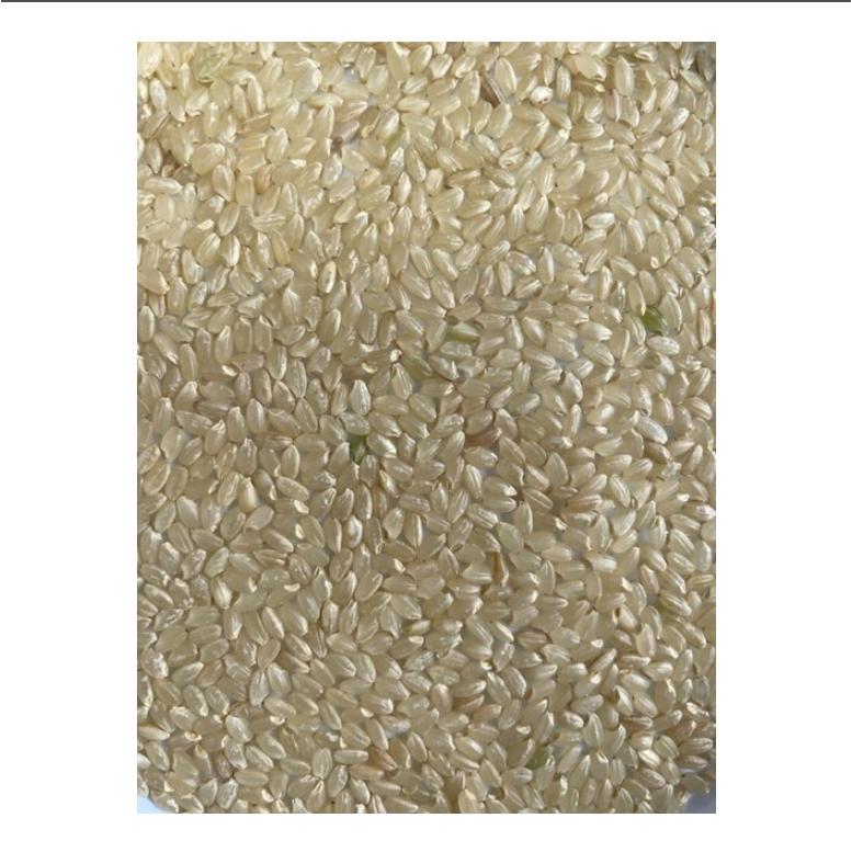 あきたこまち 新米 玄米 5kg「8年産 茨城 あきたこまち一等米 玄米5kg