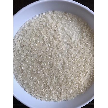 コシヒカリ 米 5kg「7年産 茨城コシヒカリ 一等米 白米 5kg」送料無料