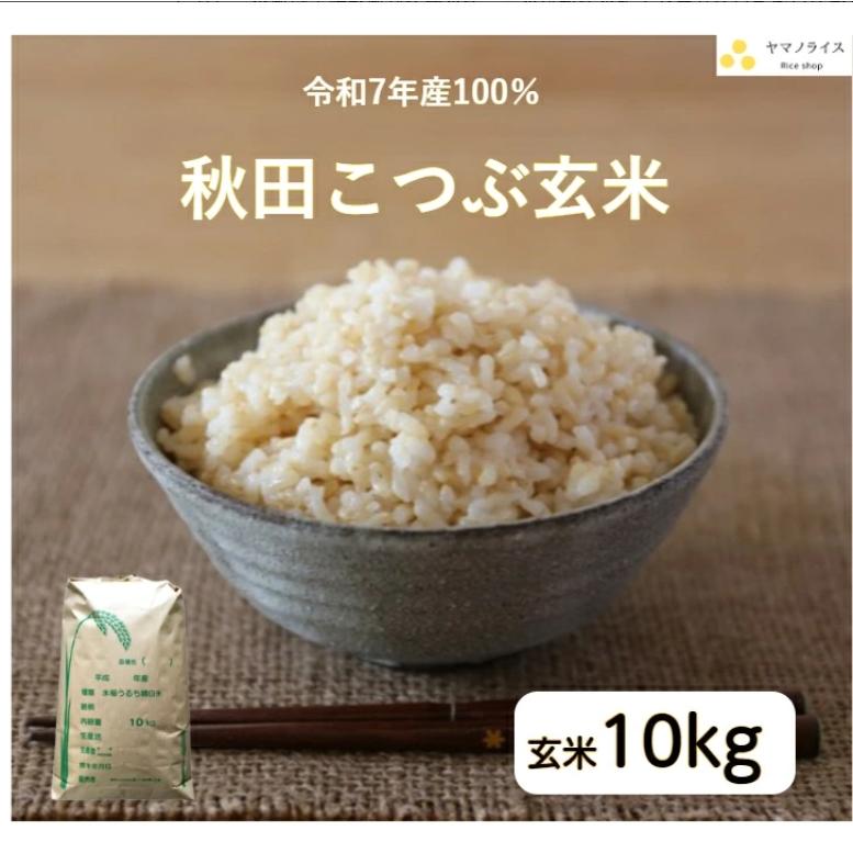 玄米 10kg「7年産 秋田こつぶ玄米 10kg」【こつぶ】【秋田県産】【7