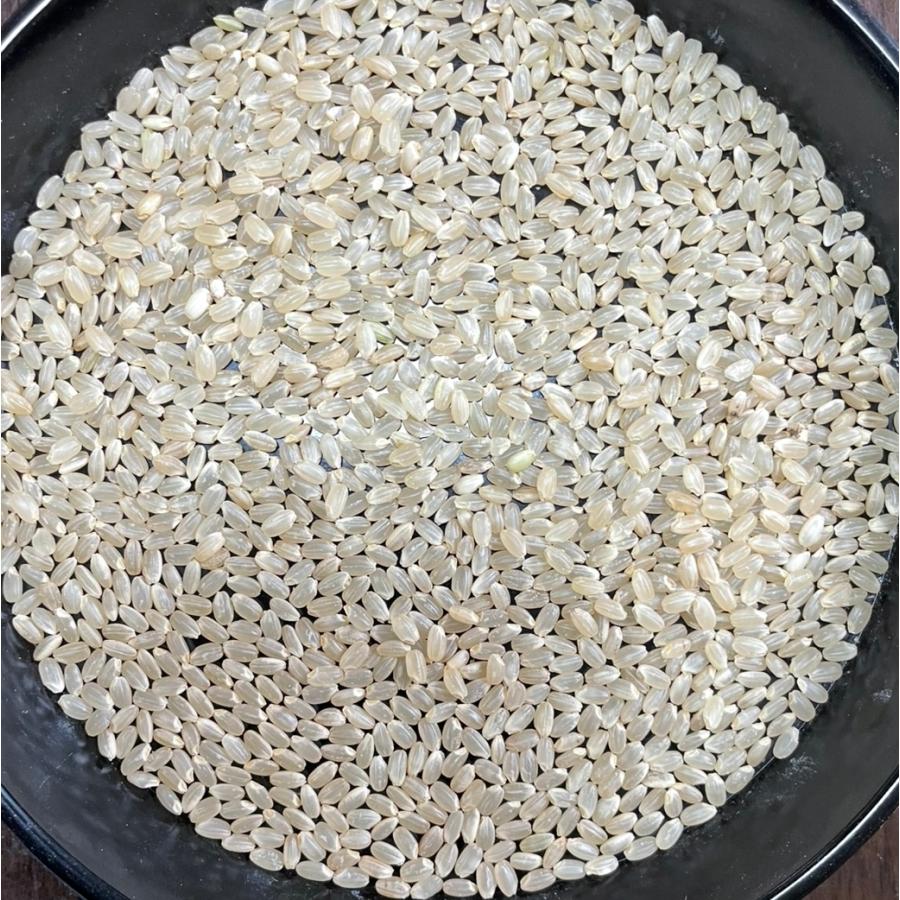 玄米】【5kg】【令和7年産】【にじのきらめき】【茨城県産】【一等米 