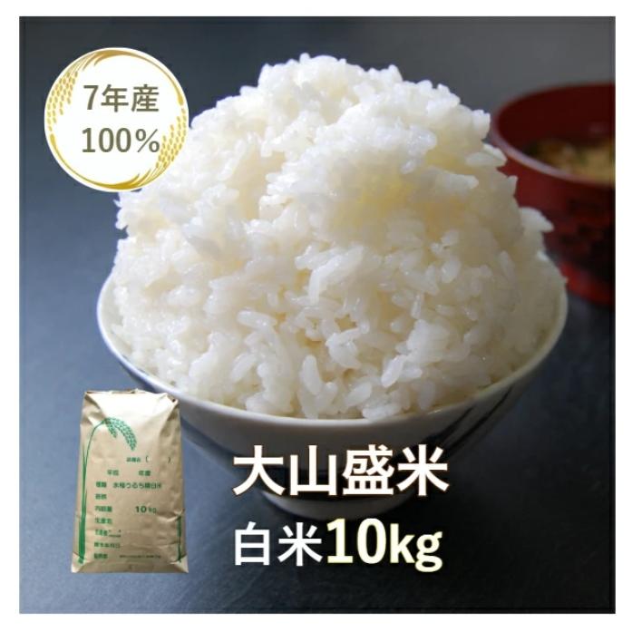 米 10kg 「7年産 大山盛米 白米１０kg」【1人1袋限り】【送料無料】【訳あり】【国内産】【7年産】【精米】【白米】【ノークレームノーリターン】（Yahoo!・ヤマノライス Yahoo!ショップ店）