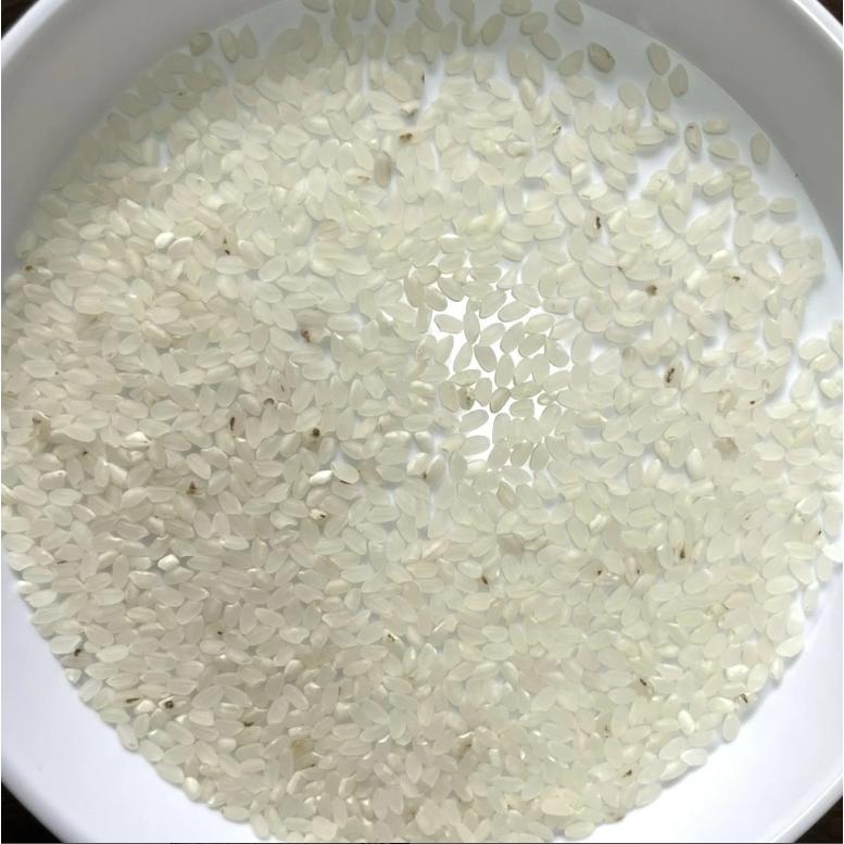 米 10kg「7年産 東北規格外 白米10kg」【7年産100％】【東北】【規格外