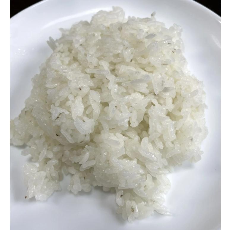 米 10kg「7年産 東北規格外 白米10kg」【7年産100％】【東北】【規格外