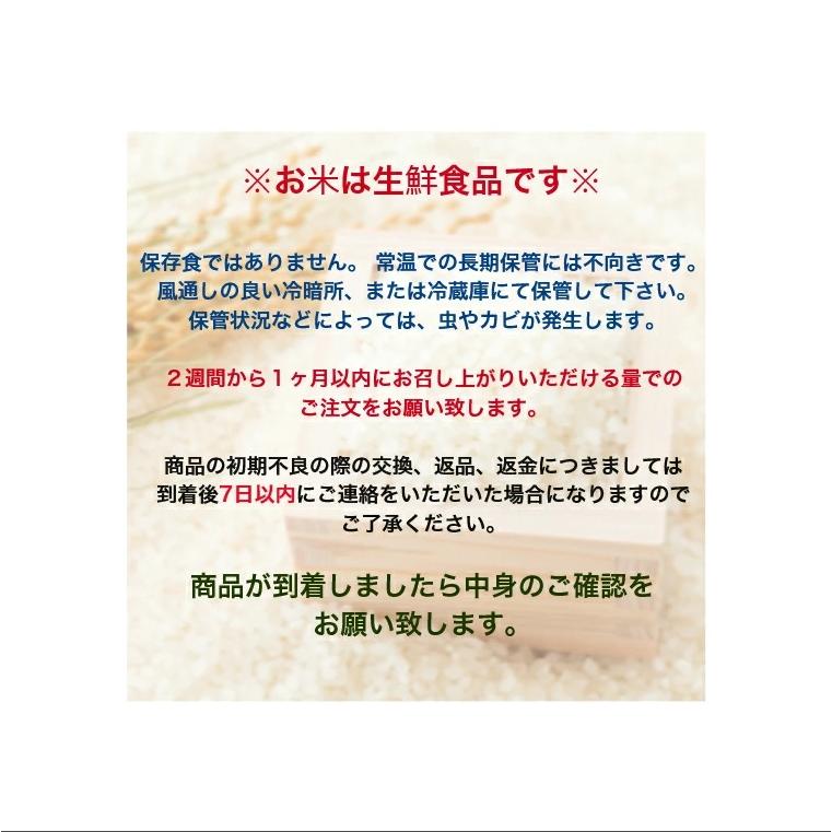 玄米 10kg「7年産 山形県産 規格外玄米 10kg」【7年産100%】【山形県産