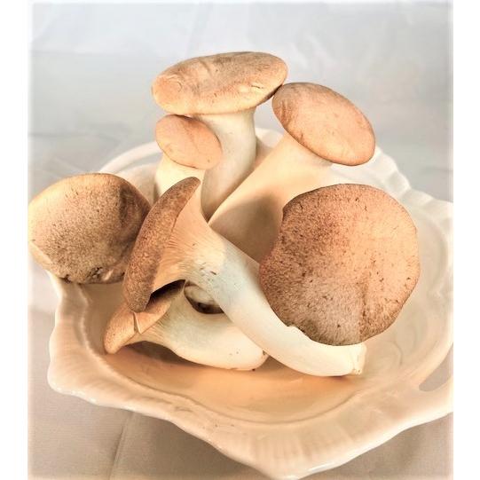 きのこセット 6 7種2 2kg 戸隠そば2袋入り 産地直送 長野県産 信州 キノコ えのき しめじ ギフト 贈答 鍋料理 蕎麦 ごはんのおとも 野菜 免疫 腸内環境 血圧 103 山のさちショップ ヤフー店 通販 Yahoo ショッピング