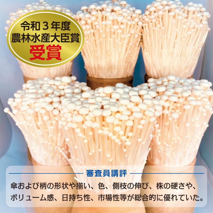 なめたけ 固形分80 3本セット 長野県産 えのき茸100 使用 きのこ キノコ ごはんのおともそば 蕎麦 うどん お酒 おつまみ ギフト 贈り物 104 山のさちショップ ヤフー店 通販 Yahoo ショッピング