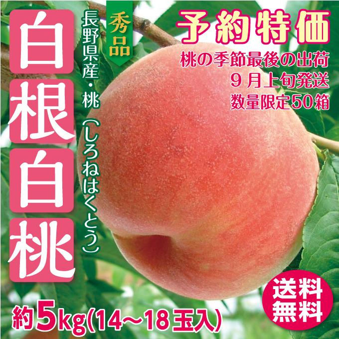 桃 もも 産地直送 白根白桃 5kg(14~18玉)  秀品 長野県産 信州 予約 9月上旬発送 贈り物 ギフト 贈答 フルーツ　数量５０箱限定｜yamanosachi-shop｜02