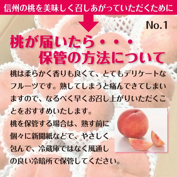  だて白桃 もも 桃 フルーツ 果物 長野県産