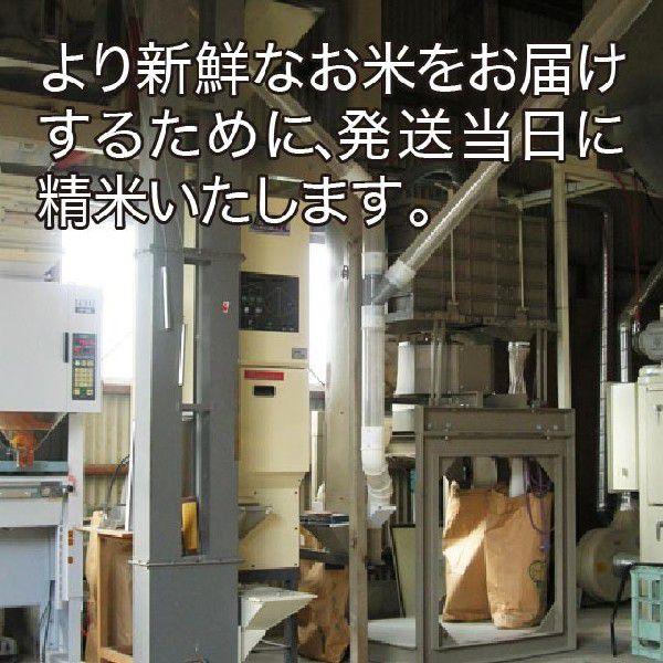 令和5年産 鹿児島県産 ヒノヒカリブレンド米 10kg 送料無料（一部地域を除く）｜yamanouchi-kome｜06