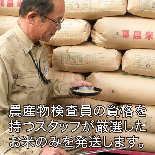 令和5年産 鹿児島県産ヒノヒカリ 5kg 送料無料（一部地域を除く）｜yamanouchi-kome｜05