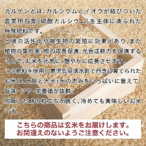 令和5年産 鹿児島県産湧水地区産 カルゲン米ヒノヒカリ 玄米 5kg 送料無料（一部地域を除く）｜yamanouchi-kome｜03