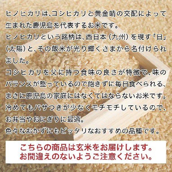 令和5年産 鹿児島県産ヒノヒカリ 玄米 10kg 送料無料（一部地域を除く）｜yamanouchi-kome｜03