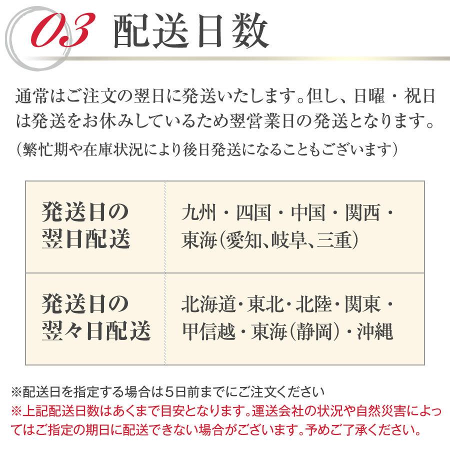 すっぽん鍋 料亭やまさ 250g 2人前 すっぽん鍋セット 鍋セット 国産 大分 高級 スッポン鍋 すっぽん スッポン お取り寄せグルメ 鍋 ギフト プレゼント 長寿の画像
