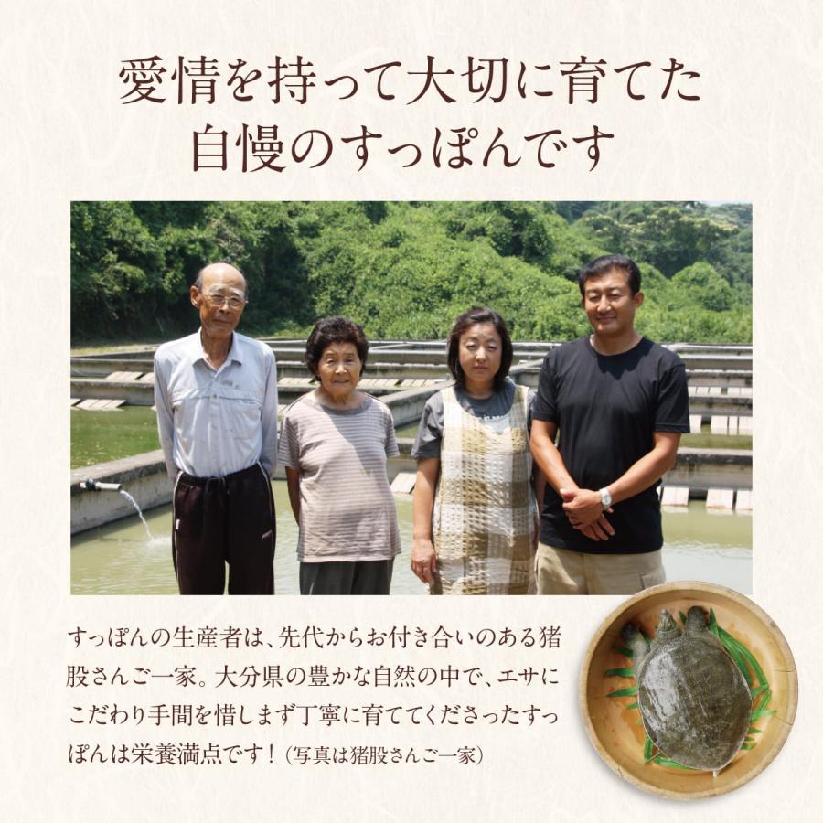 すっぽん サプリ すっぽんの恵みプレミアム 1袋62粒入り約1か月分