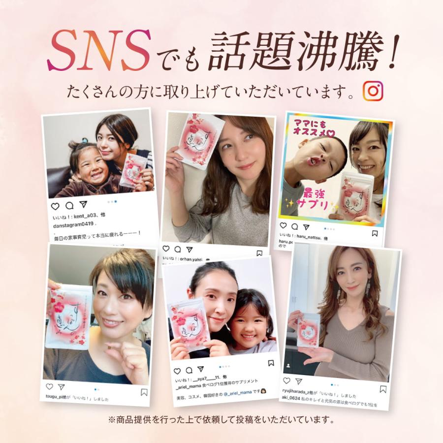 すっぽん サプリ すっぽんの恵みプレミアム 1袋62粒入り約1か月分