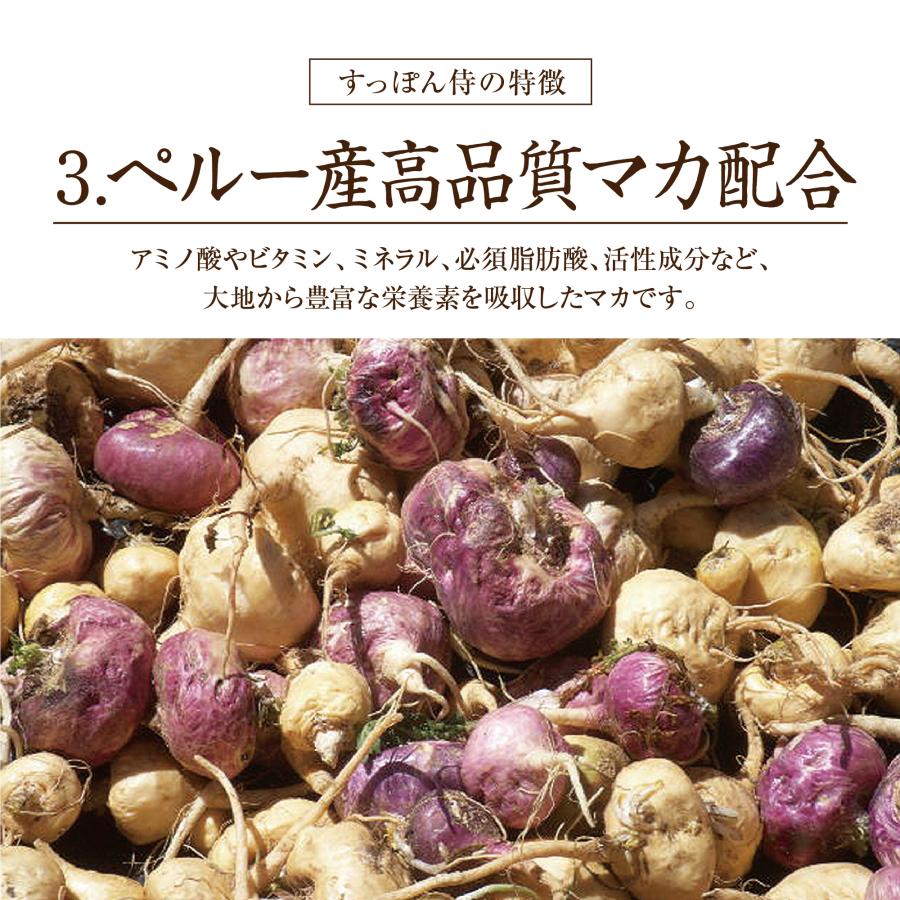 すっぽん サプリ すっぽん侍 1袋62粒入り約1か月分 サプリメント 男性