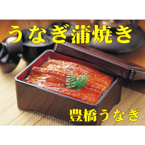 うなぎ 蒲焼き 鰻 国産 うなぎ ご飯のお供 たれ付 うなぎ蒲焼き 3尾　ギフトセット【たれ付】｜yamasachikuwa