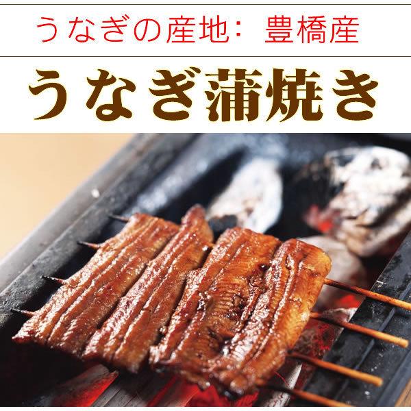 うなぎ 蒲焼き 鰻 国産 うなぎ ご飯のお供 たれ付 うなぎ蒲焼き 3尾　ギフトセット【たれ付】｜yamasachikuwa｜02